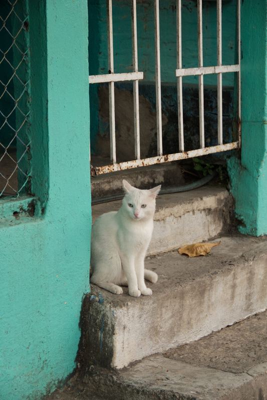 Corral Falso, Guerrero — fotografía 36 de 45