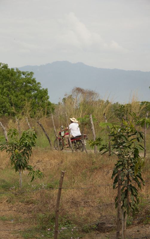 Corral Falso, Guerrero — fotografía 37 de 45