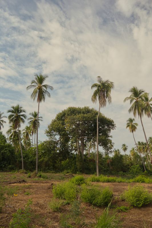 Corral Falso, Guerrero — fotografía 45 de 45
