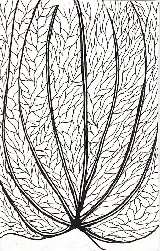 Estudio de ramificación 03 — plumilla y estilógrafo, 9 × 14 cm