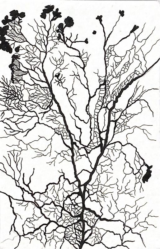 Estudio de ramificación 04 — plumilla y estilógrafo, 9 × 14 cm