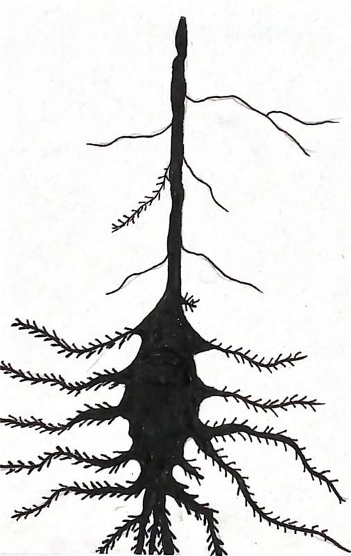 Estudio de ramificación 05 — plumilla y estilógrafo, 9 × 14 cm