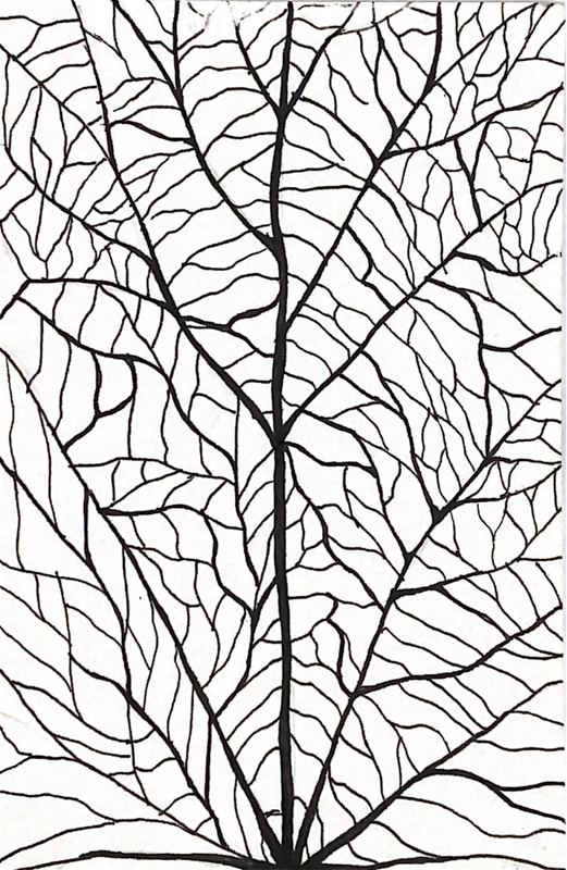 Estudio de ramificación 06 — plumilla y estilógrafo, 9 × 14 cm