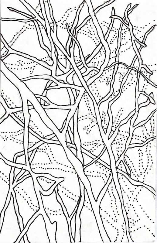 Estudio de ramificación 08 — plumilla y estilógrafo, 9 × 14 cm