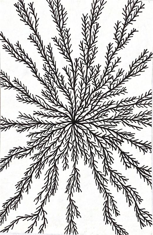 Estudio de ramificación 13 — plumilla y estilógrafo, 9 × 14 cm