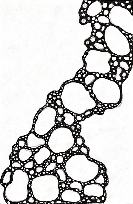 Estudio de ramificación 21 — plumilla y estilógrafo, 9 × 14 cm