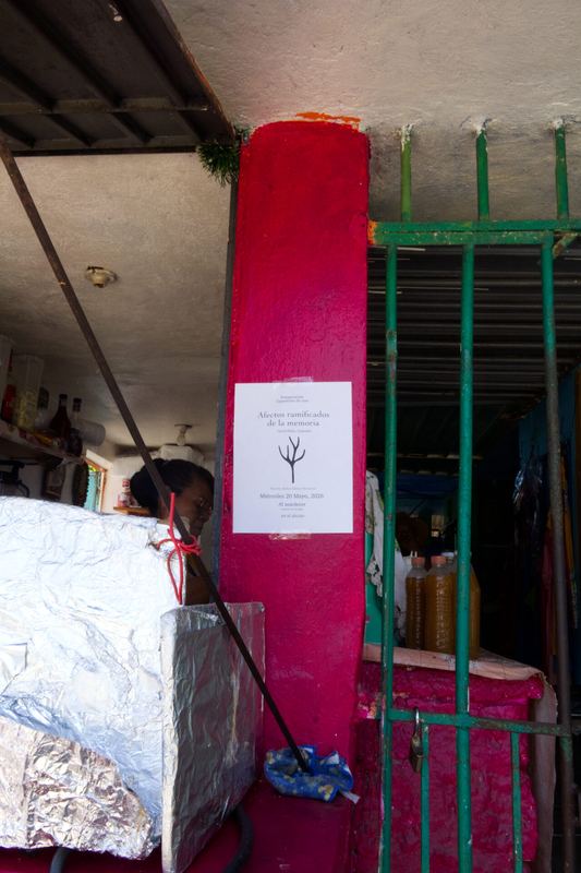 Afectos ramificados de la memoria — registro de la exposición, Corral Falso (1 de 39)