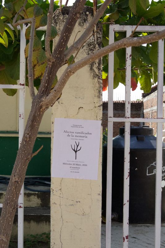 Afectos ramificados de la memoria — registro de la exposición, Corral Falso (3 de 39)