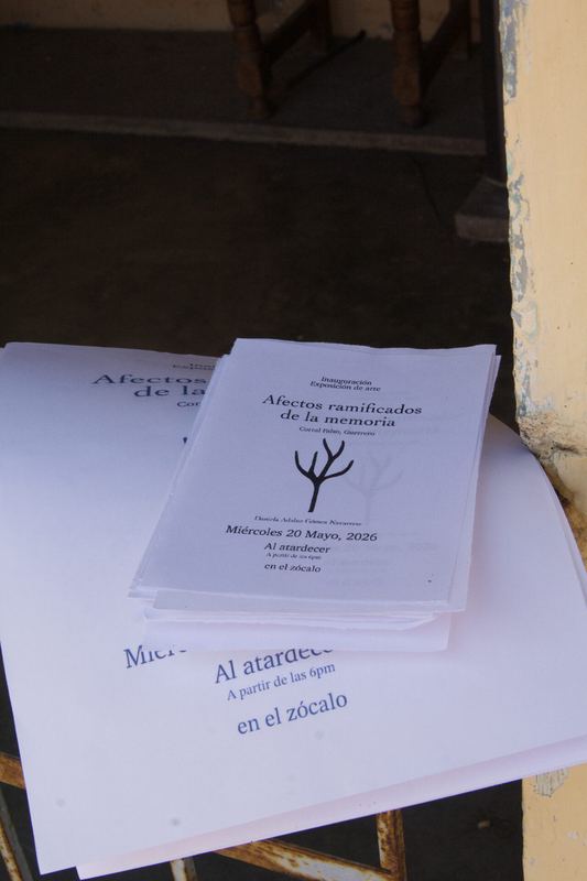 Afectos ramificados de la memoria — registro de la exposición, Corral Falso (4 de 39)