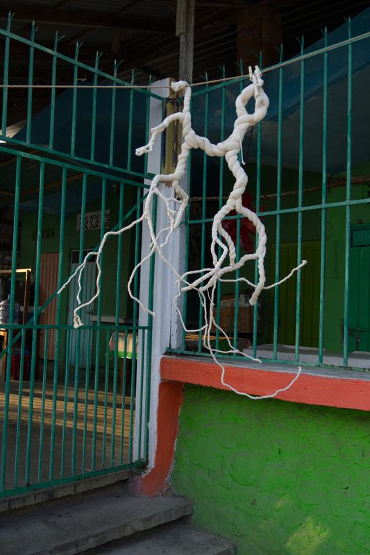 Afectos ramificados de la memoria — registro de la exposición, Corral Falso (18 de 39)